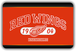 Billar & Bar Red Wings Tepotzotlan